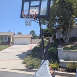 Basketball Hoop