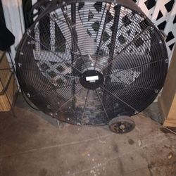 Shop Fan