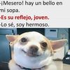Eric