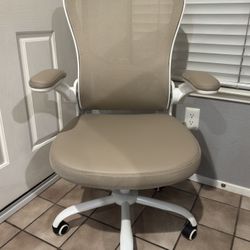 Ergonomic Desk Chair