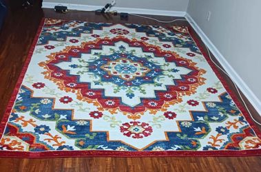 Costco Toscana Indoor Outdoor/ Area rugs
