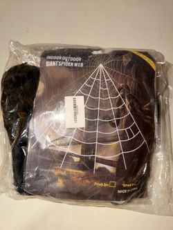 New Indoor / Outdoor Large Spider & Spider Web