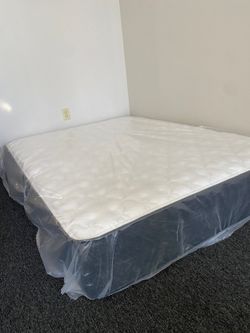 New in Plastic  Never Slept In