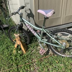  Girls Bike 5speed