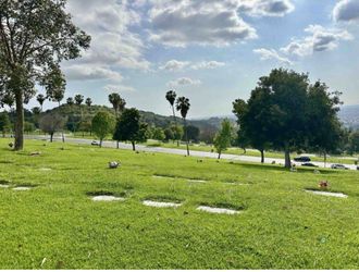 Rose Hills Plot