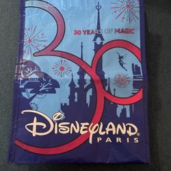 Disneyland Paris bag