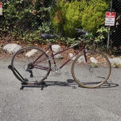 Panasonic Sport Deluxe (12spd, 80s, Made In Japan, 19” size)