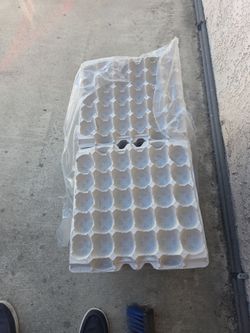 Egg cartons