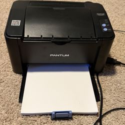 Pantum Laser Printer 