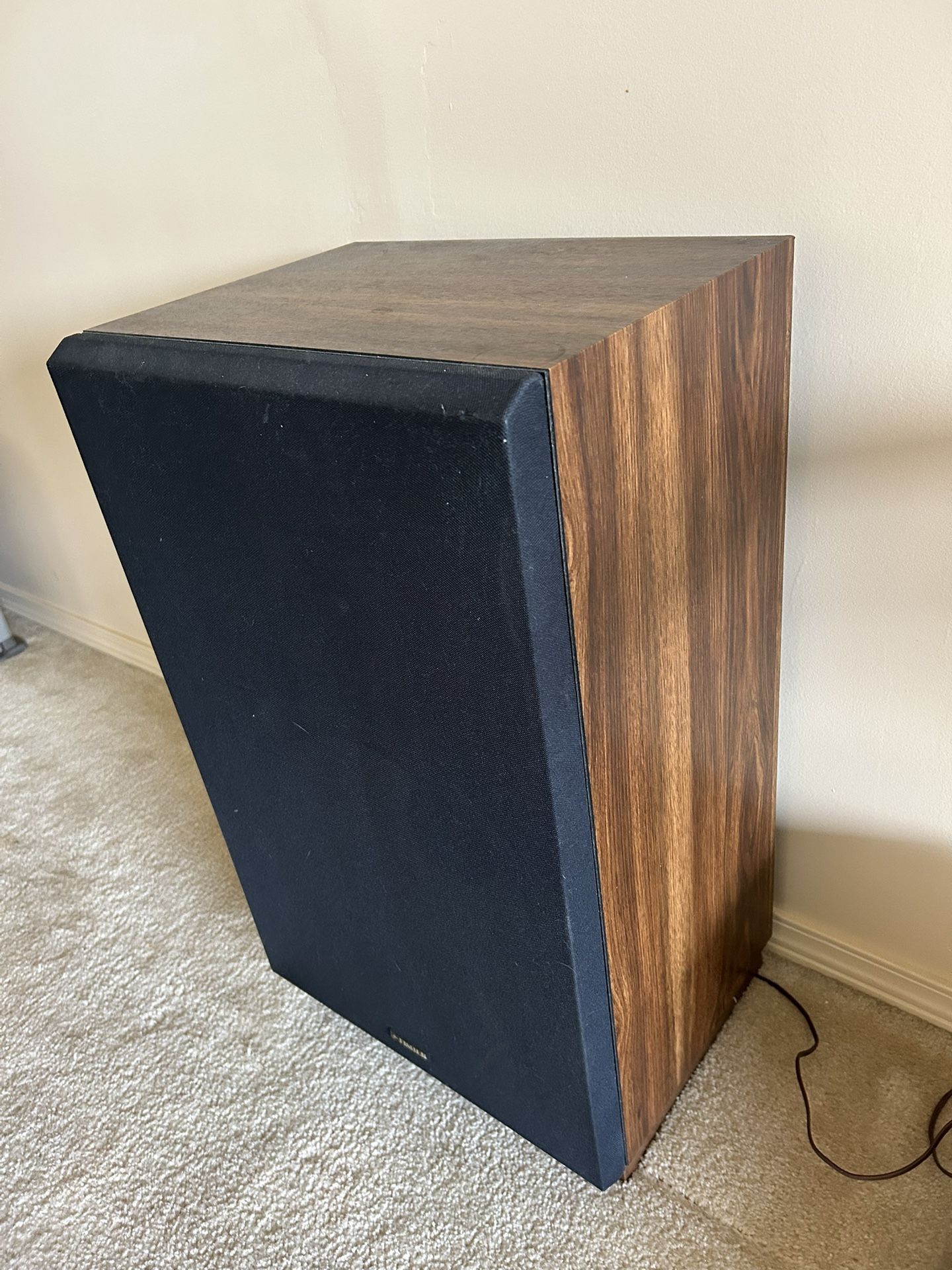 Fisher Speakers 100W