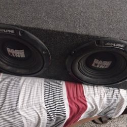 Wild Beasy Car  Speaker Box $100