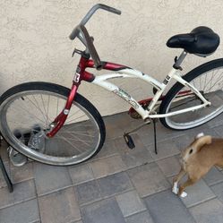 La Jolla Beach Cruiser Bike 26” Tires 
