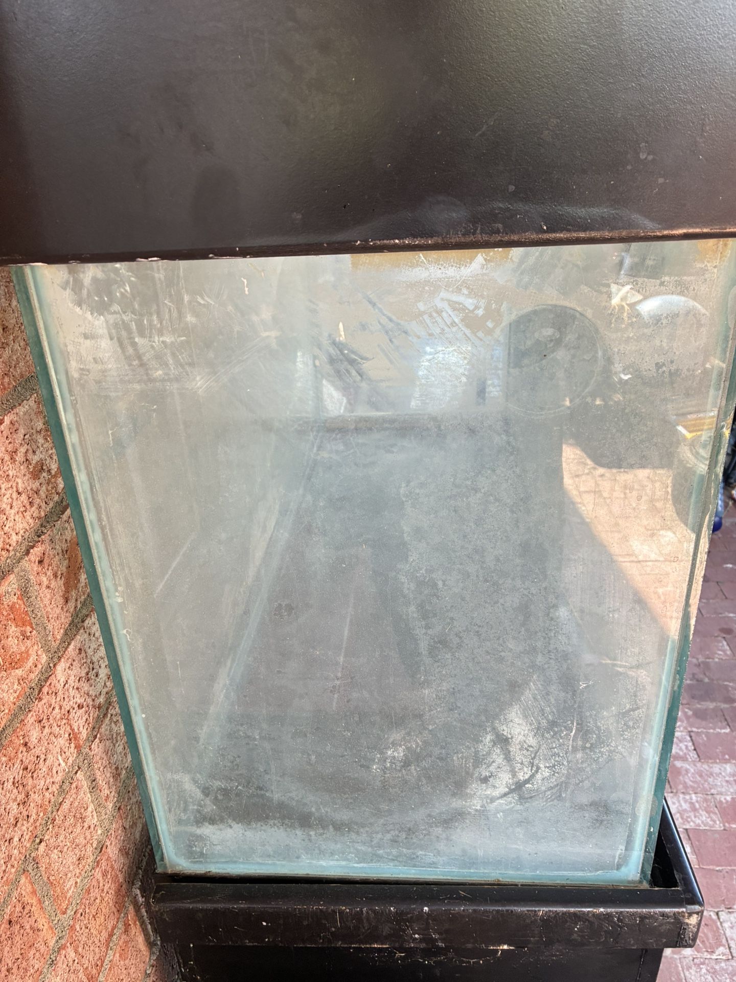 Fish Tank 