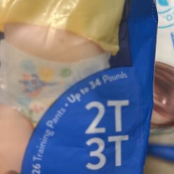 Honest Diapers Training Pants