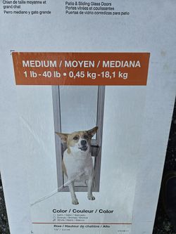 Pet Door