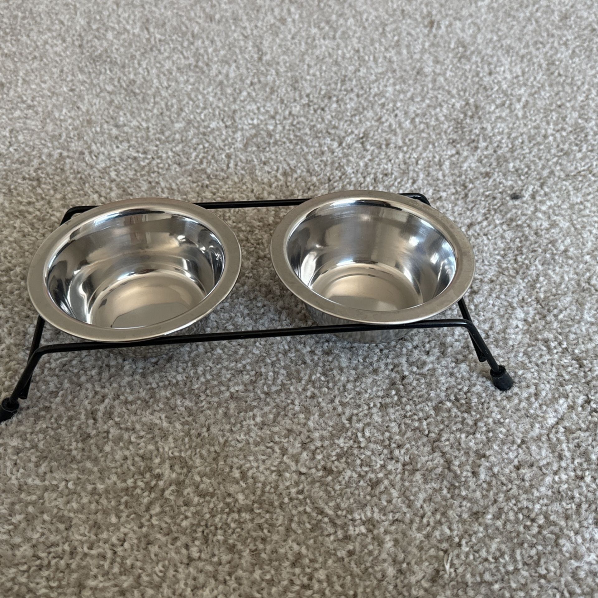 PET -feeding Bowls