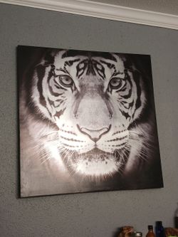 Big picture of a tiger
