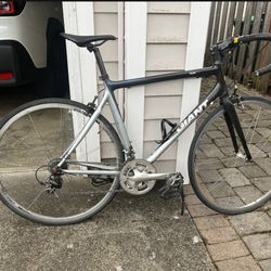 Carbon fiber Giant road bike 20” frame