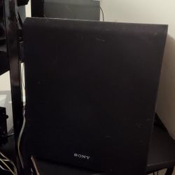 Sony SACS9 10-Inch Active Subwoofer