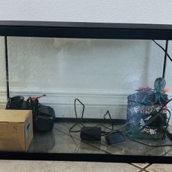 Fish Tank 