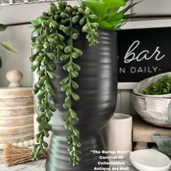 Succulent Flower Pot Decor