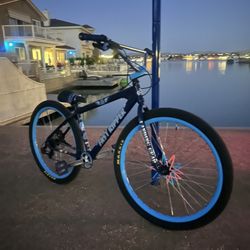 Fast Ripper 29 Inch Geared Bike