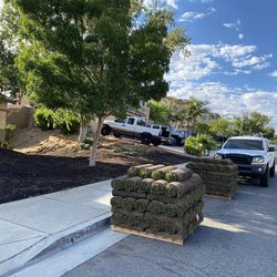 New Sod And Sprinklers