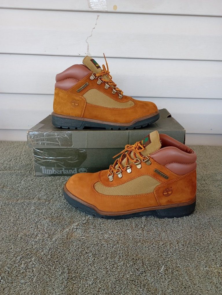 Timberland Sundance Youth Kids Brown Lifestyle Field Boots Size 5.5