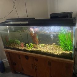 Fish Tank With Stand 50 Gallon