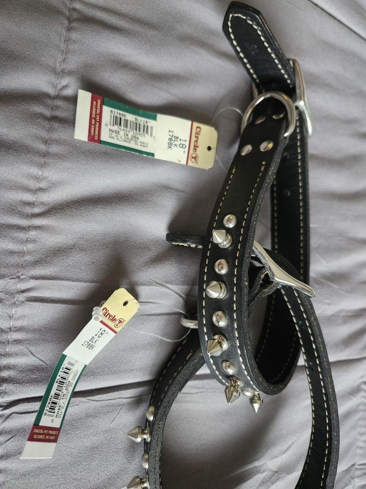 Dog Collar Spiked 18 Inch