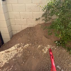 Dirt  For Your Garden 