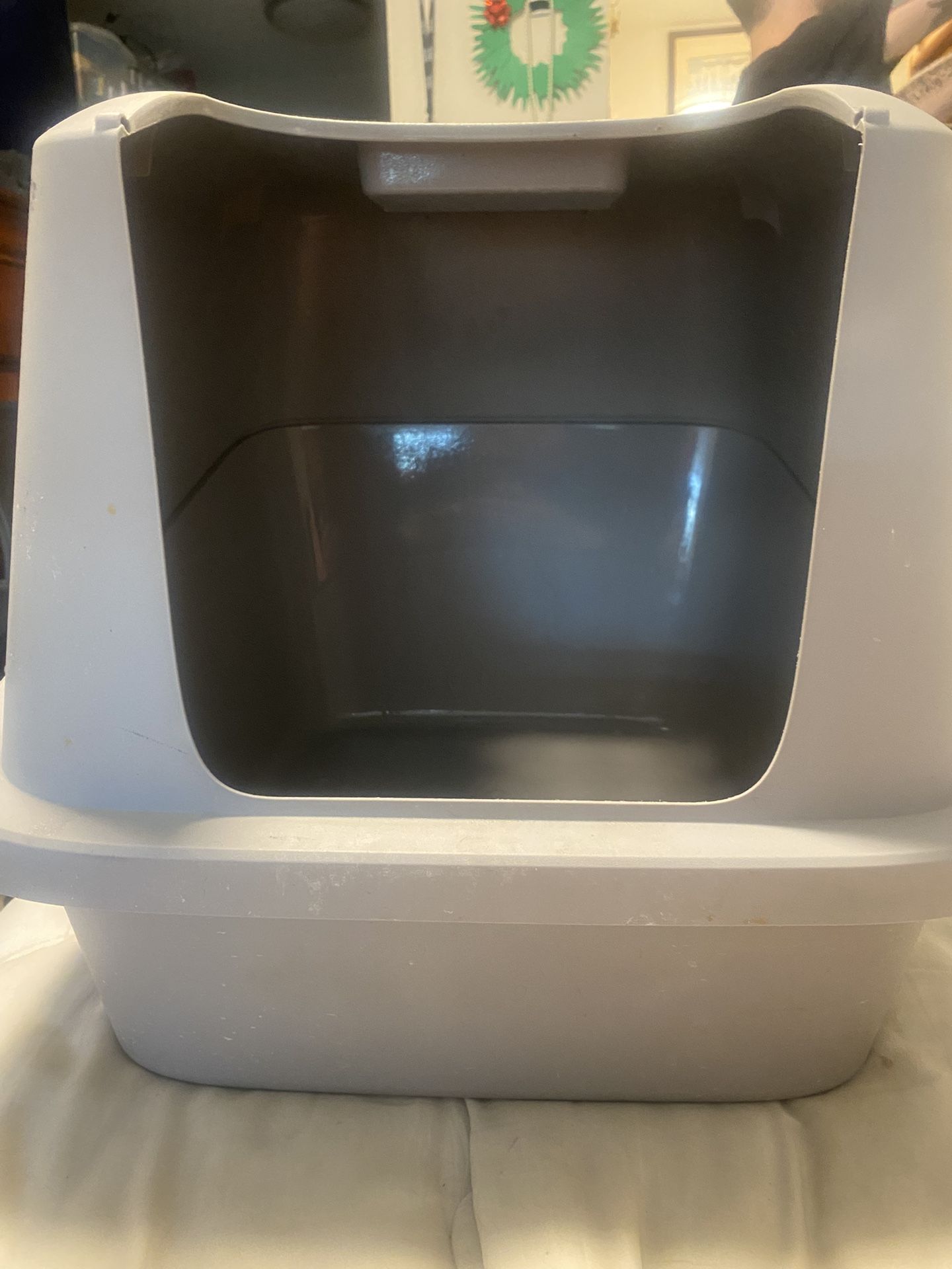 Large Litter Box
