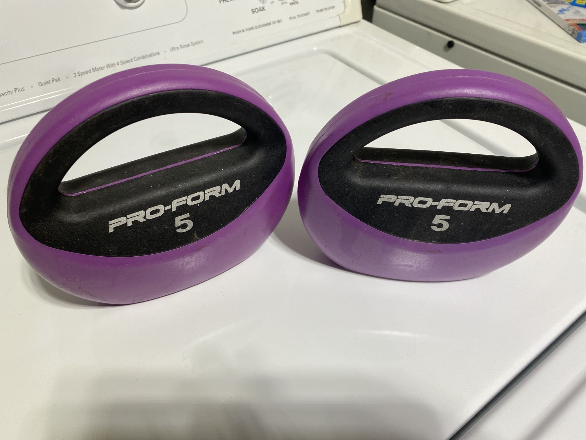 Pro Form Hand Weights 