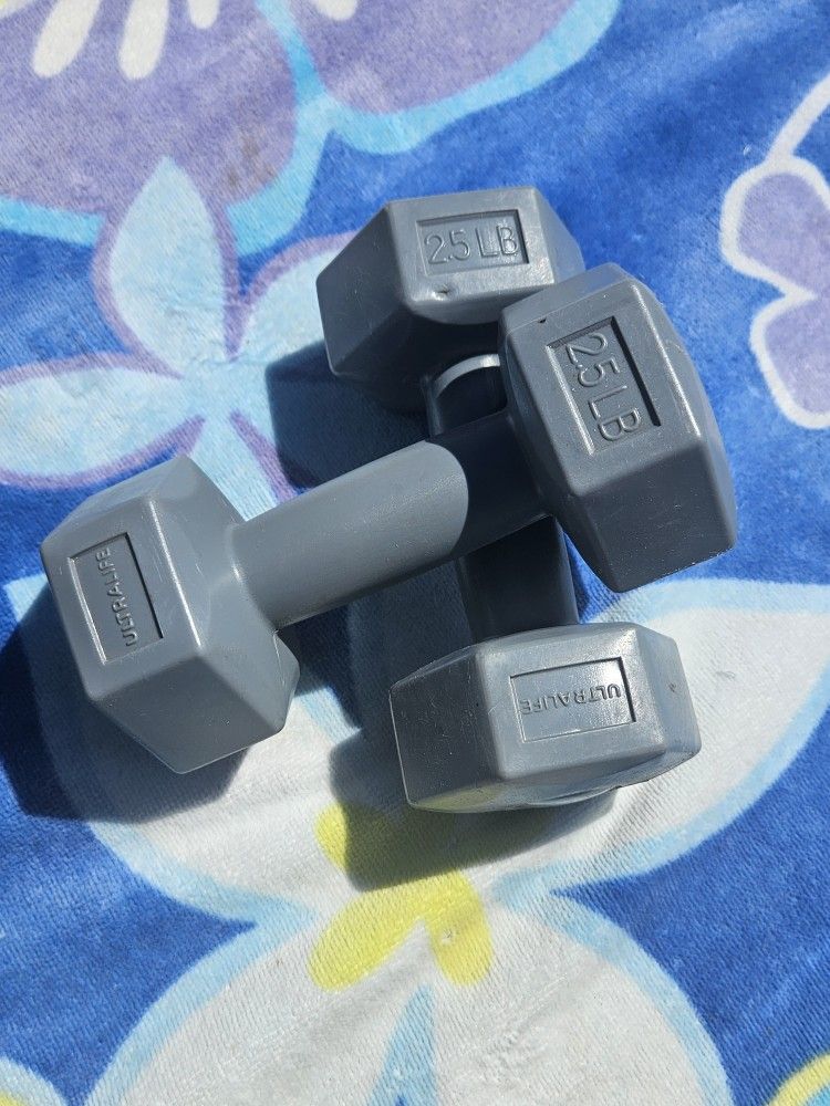 2.5 lb dumbbells