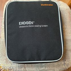 Exogenous Bone Healing System