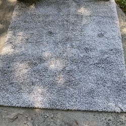 5x7  brand new area rug