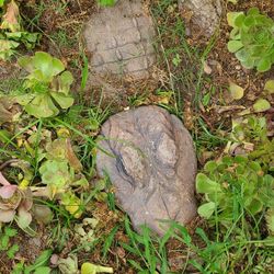 3 piece alligator crocodile lawn ornament concrete. 