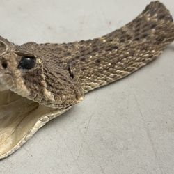 Rattlesnake Head Keychain 