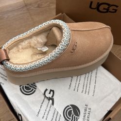 Ugg Shoes