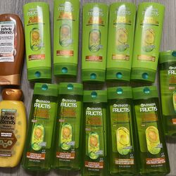 Garnier Shampoo or Conditioner