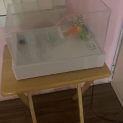 Turtle Tank