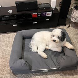 Petfusion Ultimate Dog Bed