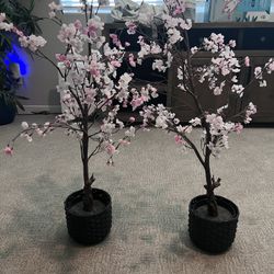 Faux Plants
