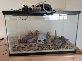 Fish/reptile tank