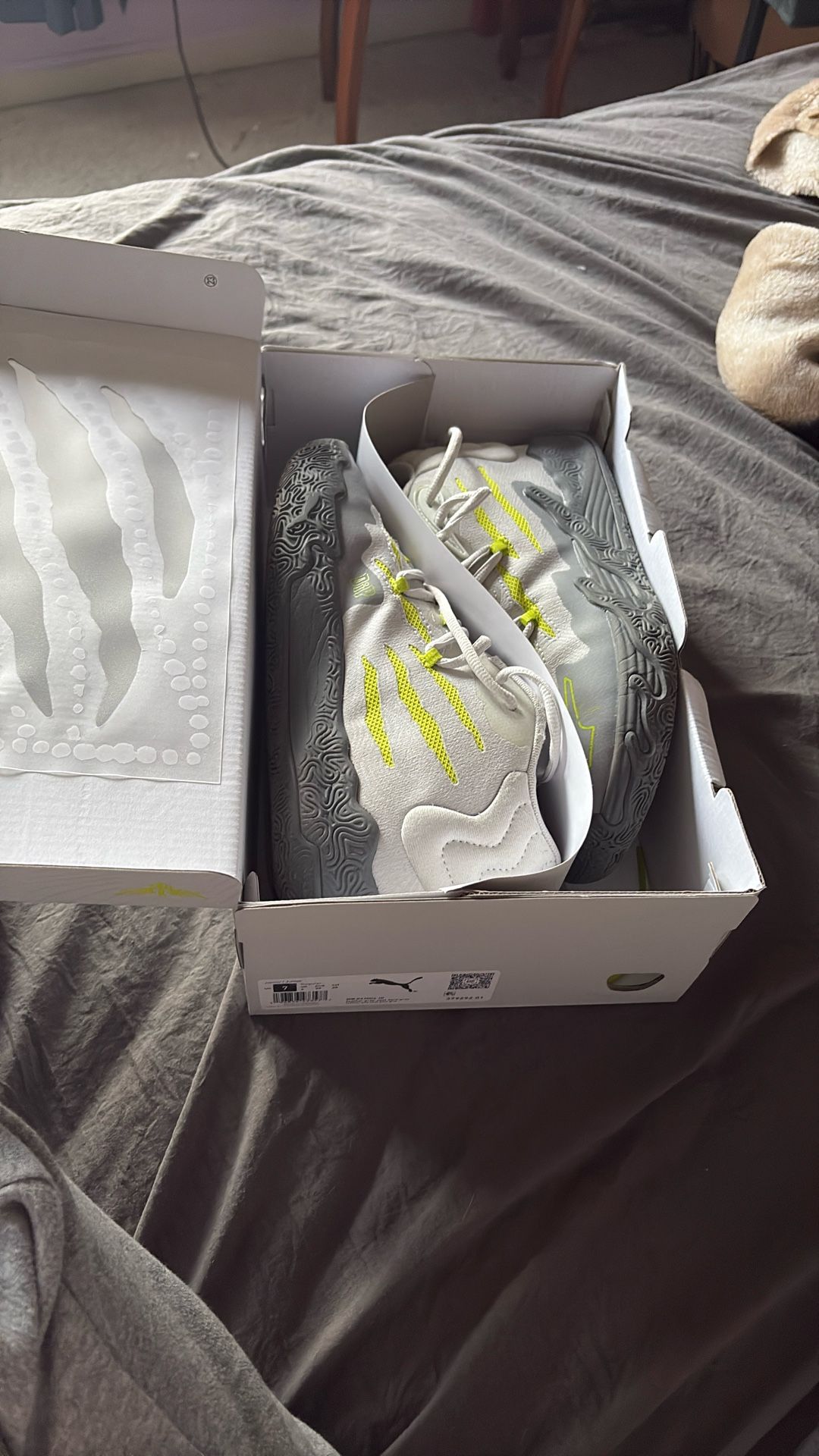 Shoes