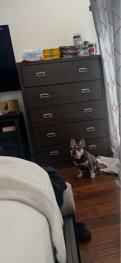 Dark Brown 5-Drawer Dresser