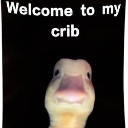 Welcome to My Crib Flag 2x3 Feet Funny Flags for Room Durable Man Cave Wall Flag with Brass Grommets for College Dorm Room Decor,Outdoor,Parties