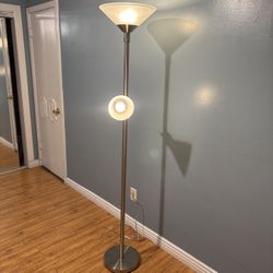 Stainless Steel Floor Lamp with 2 Bulbs