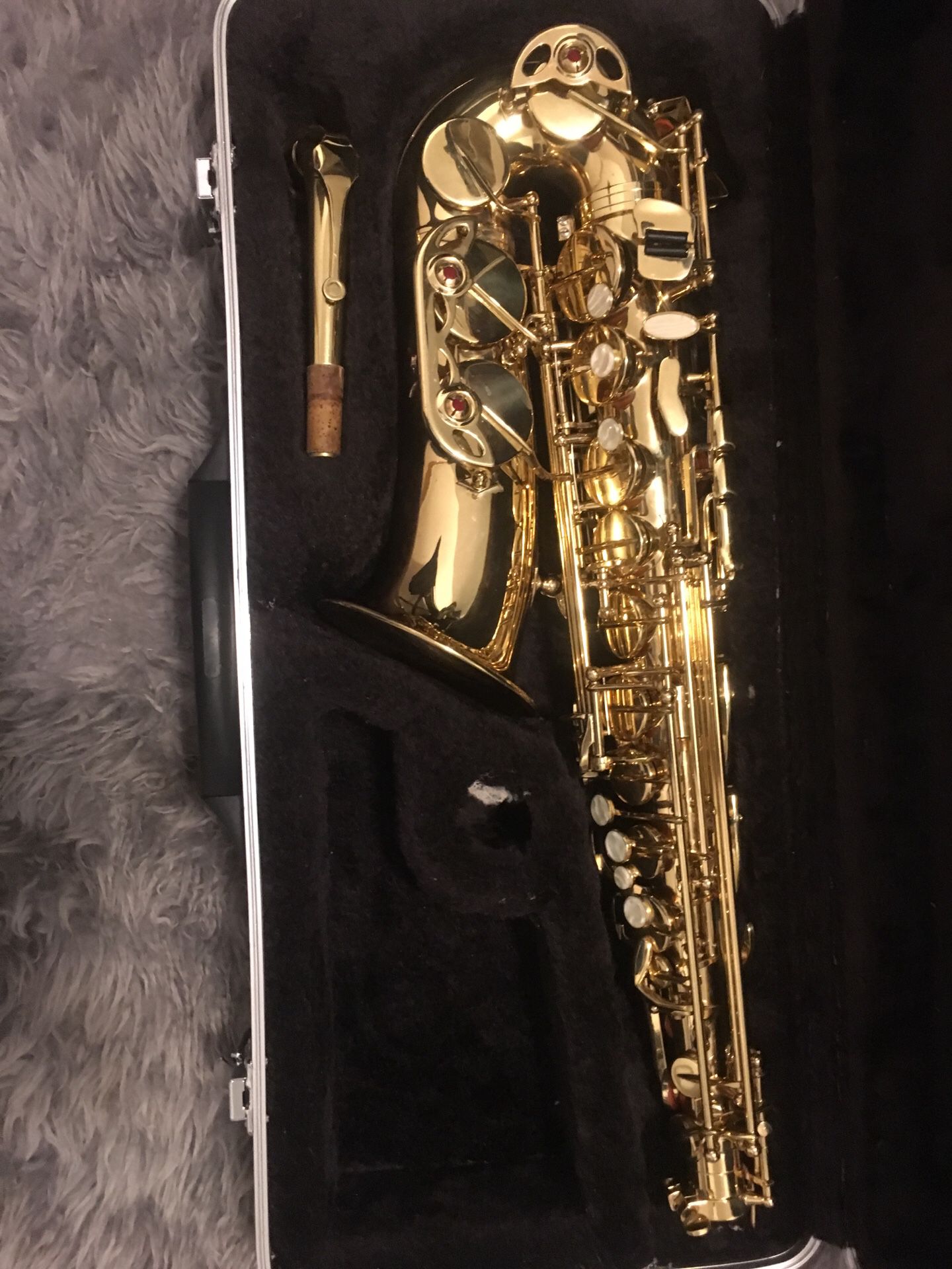 Alto saxophone perfect for beginners