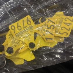 Key Chains